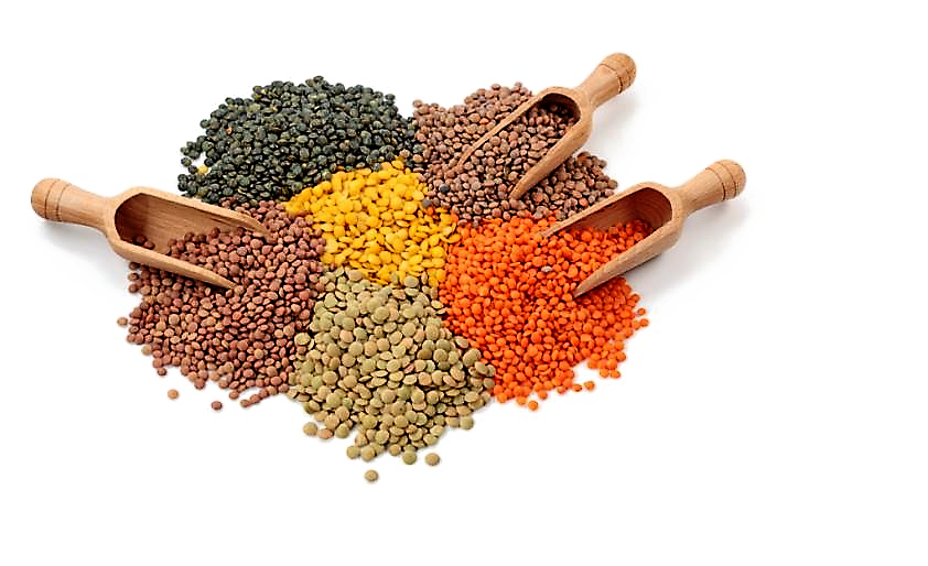 Pulses